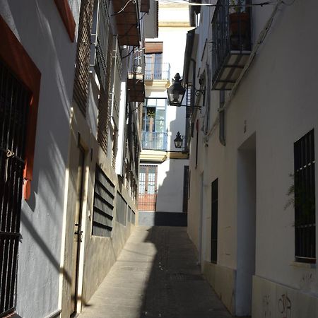 Apartamento Casa-Patio Axerquía Córdoba Exterior foto
