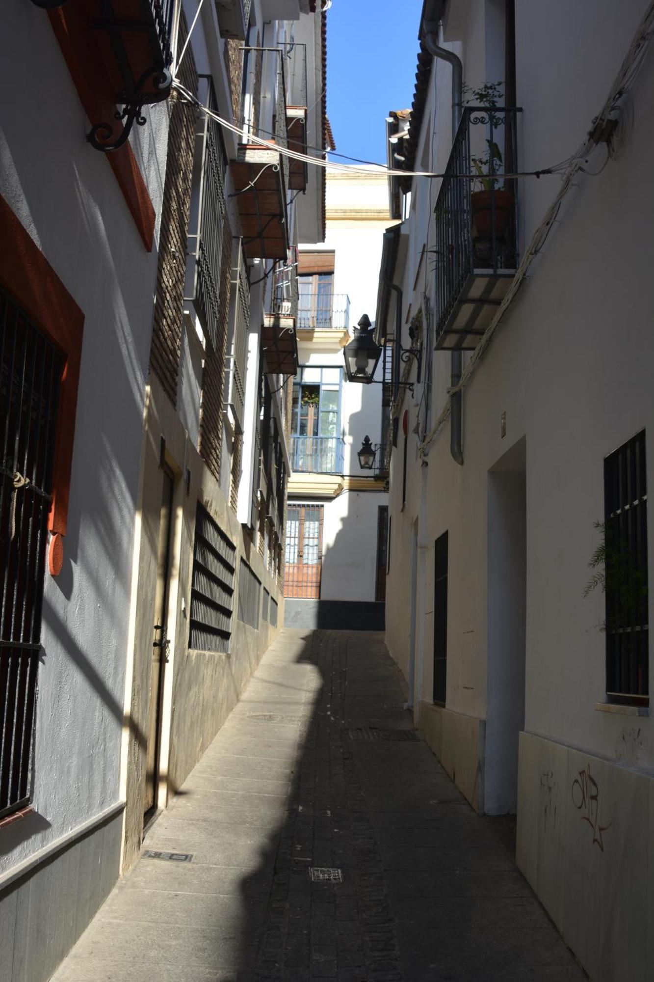 Apartamento Casa-Patio Axerquía Córdoba Exterior foto